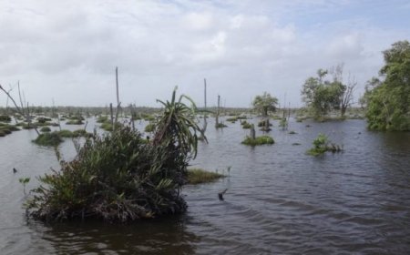 Extreem hoge waterstand veroorzaakt nieuwe dambreuk bij Weg naar Zee