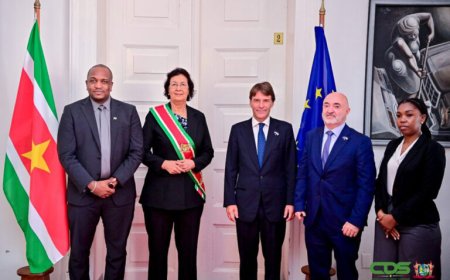 Relatie met bevriende naties onmisbaar voor nationale ontwikkeling