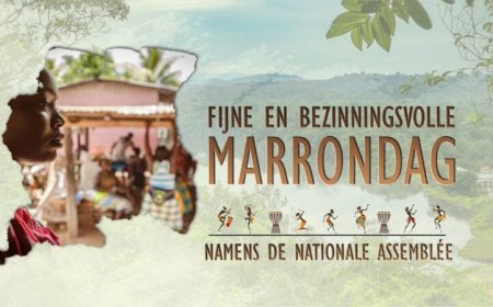 Dag der Marrons-boodschap DNA-voorzitter