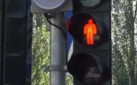 Voetgangerslichten springen te snel op rood