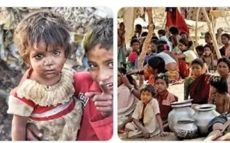 Wereld verspilt bijna eenderde van al het voedsel