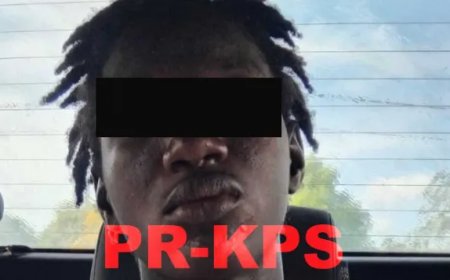 18-jarige verdachte dodelijk schietincident in Nassaugebied in de kraag gevat