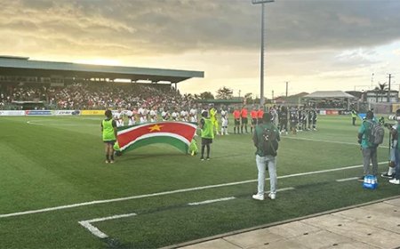 Column: De last van de favoriet