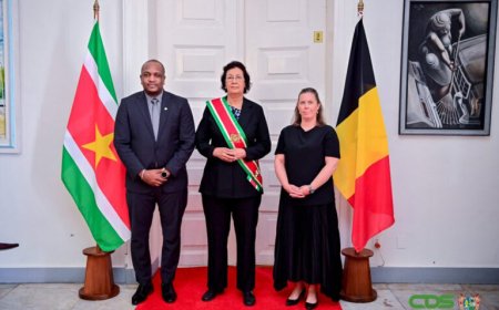 Ambassadeurs België, Dominicaanse Republiek en Europese Unie overhandigen geloofsbrieven