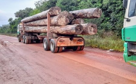 Herstel brug Witagron kan lang duren: ‘Brug officieel gesloten voor lading boven tien ton’