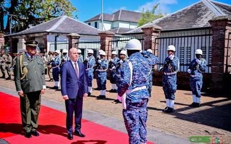 Vier ambassadeurs bieden geloofsbrieven aan president Simons