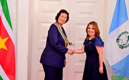 Diplomatieke banden versterkt met Algerije, Guatemala, Ierland en Zweden