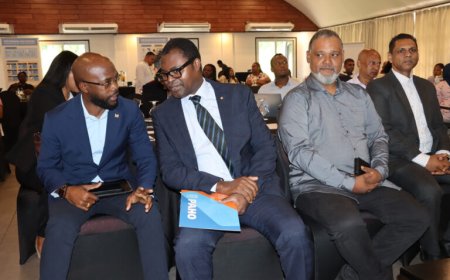 Minister Misiekaba opent One Health-workshop over vogelgriep