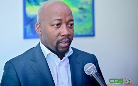 Abiamofo: Bemoedigende resultaten bij biedingsronde voor nieuwe offshoreblokken