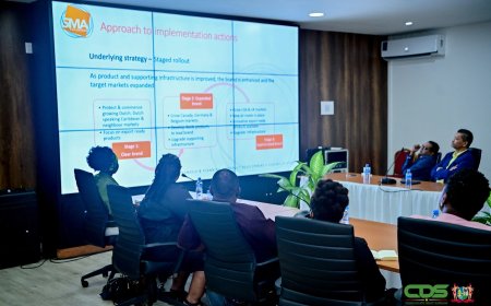 Nieuwe marketingstrategie voor toerismesector gepresenteerd