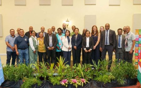 Suriname lanceert Collateral Support Facility ter versterking van ananasboeren