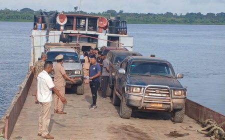 Gestrande bezoekers in Kabalebo veilig vervoerd na instorten brug Witagron