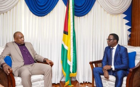 Bouva en Guyanese minister Todd bespreken economische en infrastructurele projecten