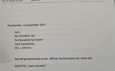 Kanhai: Ik trek gratieverzoek niet in