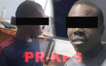 Twee bekenden van de politie in de kraag gevat verdacht van woninginbraak