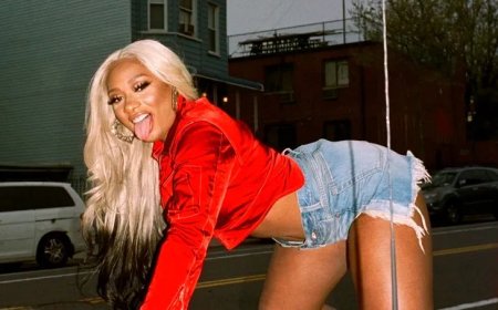 Megan Thee Stallion spreekt fans aan op fixatie op hitlijsten