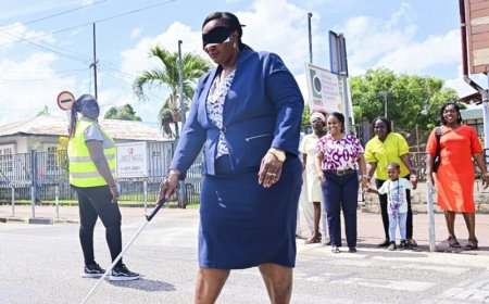 ‘Als we het leven niet vergemakkelijken voor mensen met beperking hebben ze een probleem’