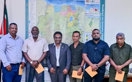 Nieuwe RvC’s FAI, Sail en Surzwam