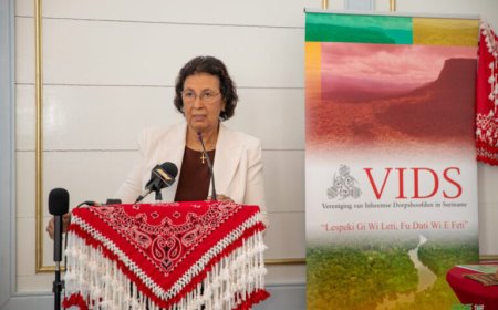 VIDS overhandigt nationaal FPIC-protocol aan president en parlementsvoorzitter