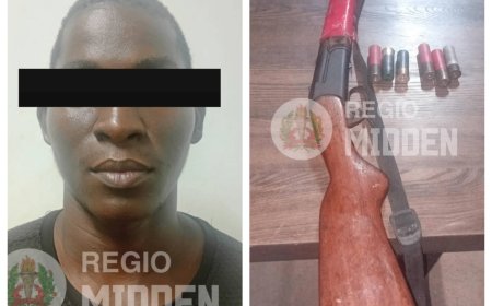 Politie stuit op illegaal vuurwapen tijdens controle auto 