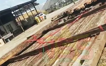 SBB stuit op bijkans 2.160 illegale bruinhartpalen bij EBS