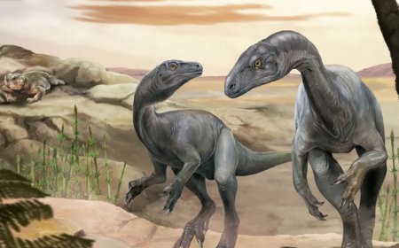 Archeologen vinden in Argentinië een van de oudste dinoskeletten ooit