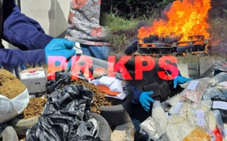 Narcotica Brigade verbrand partij drugs