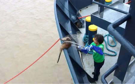 GHFS viert 20-jarig bestaan met duurzame workshops