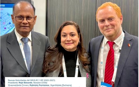 Parmessar in Genève gekozen tot vicepresident Grulac