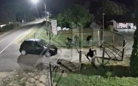 Gezin slachtoffer van gewapende beroving in Saramacca