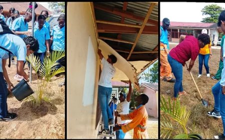 Diaspora Homecoming Summit gestart met boomplanting en investeringen in jeugd