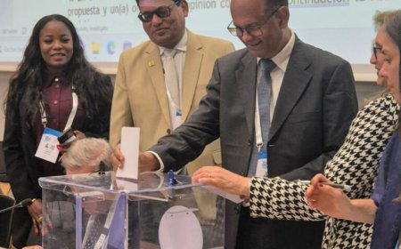 Parmessar verkozen tot Grulac-vicepresident