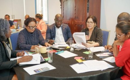 DNA-leden getraind in rechtvaardige en inclusieve begrotingsanalyse