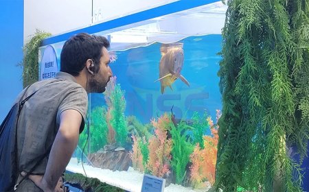 Column: Het verlangen naar vreugde die nooit kwam...