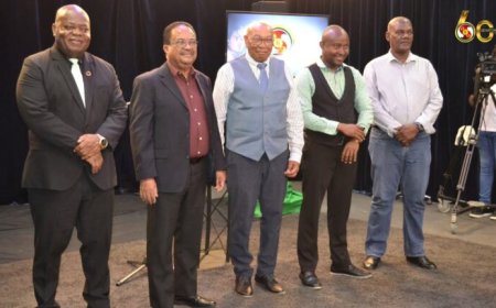 STVS viert 60-jarig bestaan: oproep voor meer erkenning en ondersteuning