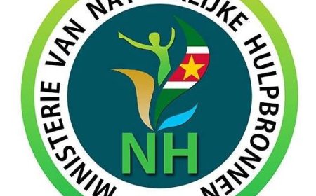 NH belicht noodzaak van groene financiering voor duurzame ontwikkeling