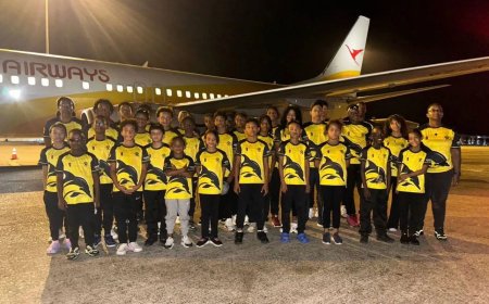 De Dolfijn schittert op Aruba!????