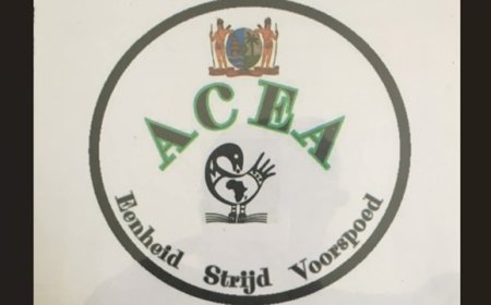 Eerste Afro-Caraïbische Educatie Academie van start: bewustwording door educatie