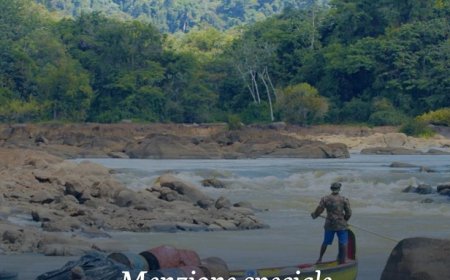 ‘Monikondee’ scoort internationaal goed