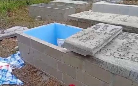 Onbekenden breken grafkelder en kist open en gaan er vandoor met sieraad en een geldbedrag 