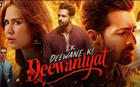 ‘Ek Deewane Ki Deewaniyat’: Een problematisch liefdesverhaal