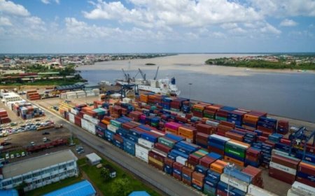 BESCHOUWING — Havenbeheer wast de handen in onschuld