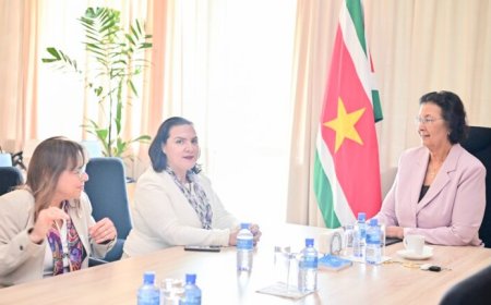 President Simons en IDB wisselen van gedachten over ontwikkelingsvisie en prioriteiten