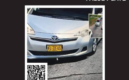 Gebruikte auto bij dodelijke aanslag op Chablani had valse kentekenplaat