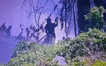 Grote brand en rookontwikkeling bij vuilnisbelt Charlesburg