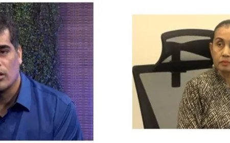 De rol van de Nationale Assemblée bij verzoeken om ambts ontslag