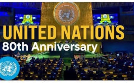 VN toe aan reorganisatie