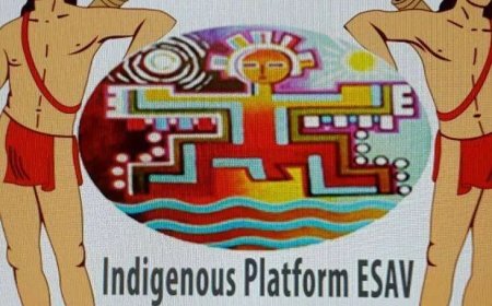 Politieke en juridische kansen Voor ESAV’s verzoek in de Pikin Saron-strafzaak