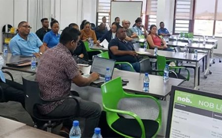 Ondernemers krijgen ruimere financieringskansen via NOB–VSB partnerschap