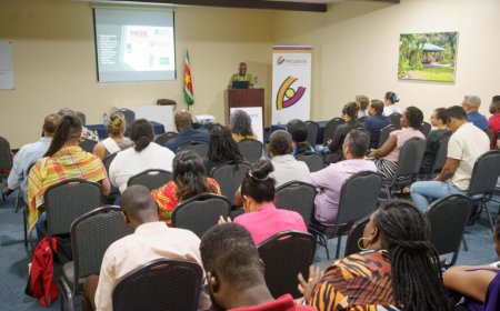 Nieuw Burgerlijk Wetboek beschermt LGBTQ+-gemeenschap nog niet volledig